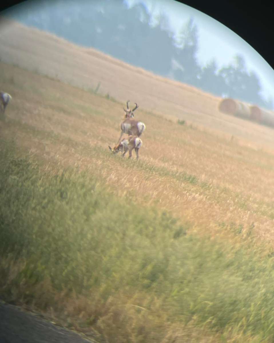 What to Expect on Your Hunt
