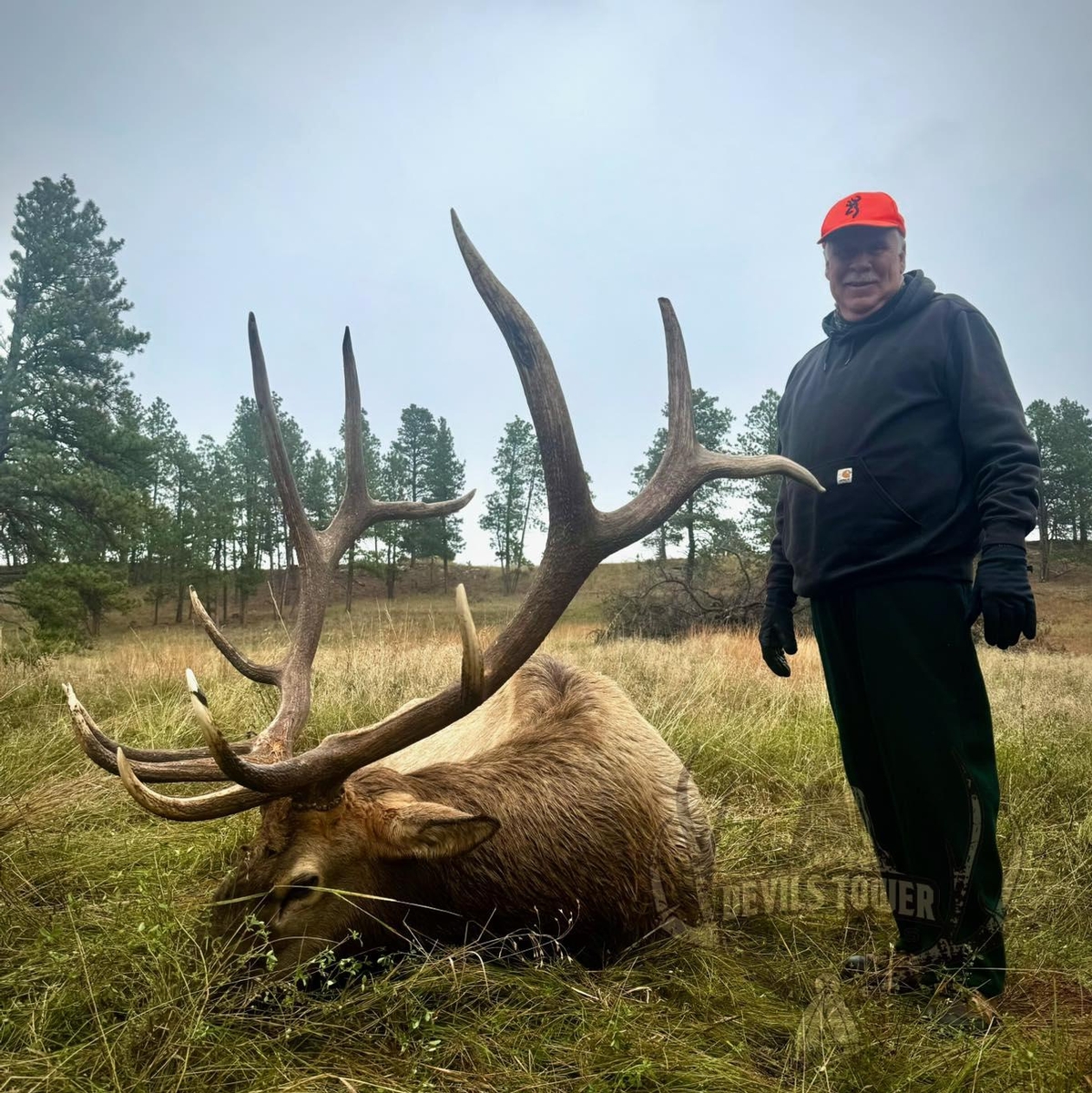 Trophy Elk Hunting in Wyoming