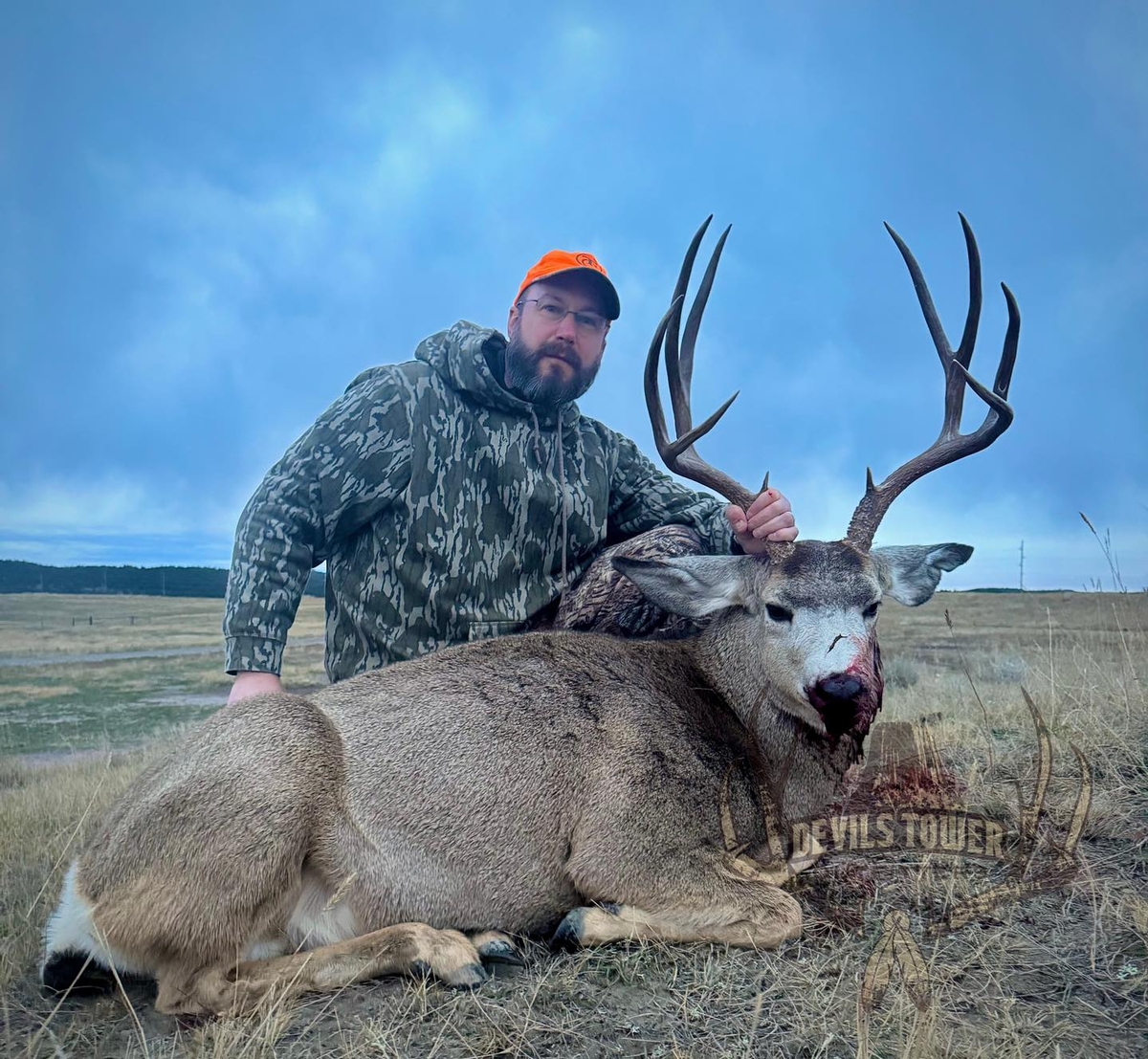 Mule Deer Seasons/Pricing