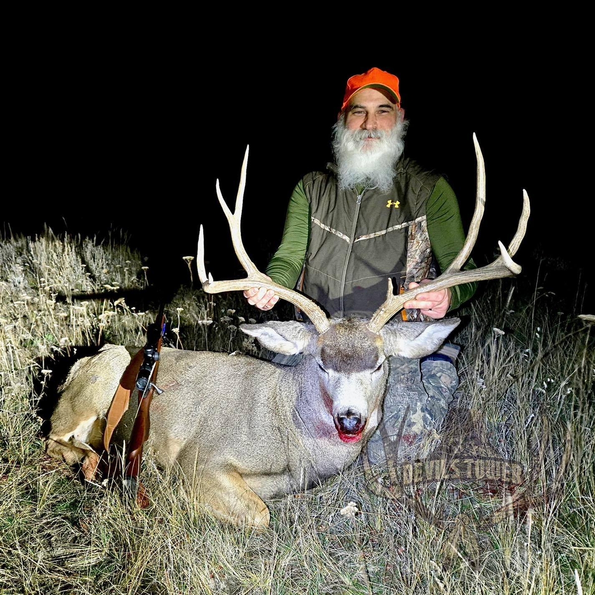 Mule Deer Seasons/Pricing